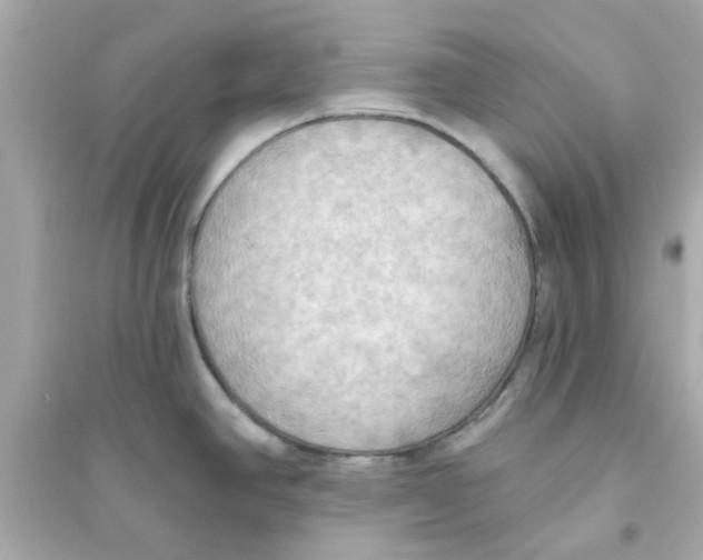 X0000093561390200711121004