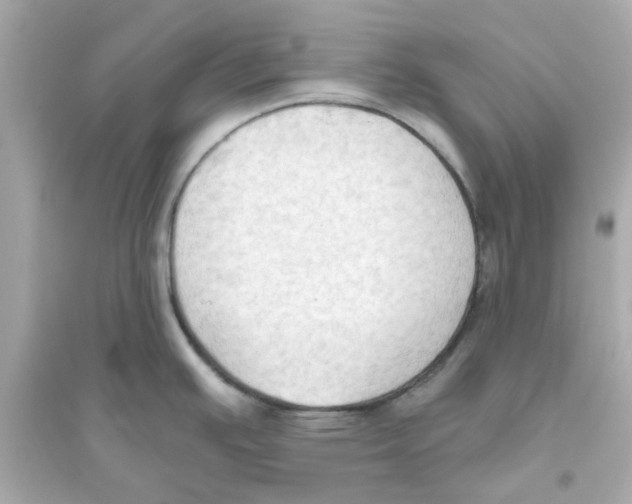 X0000093561391200711121004