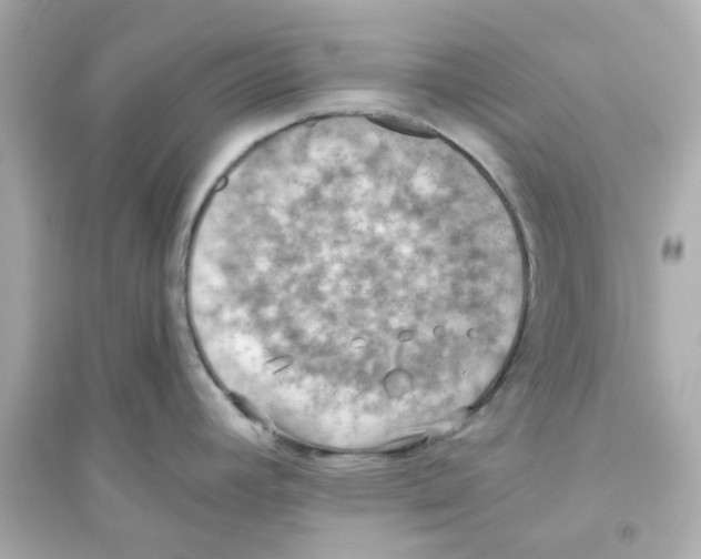 X0000093561392200711121004