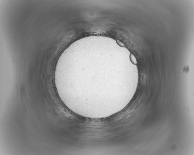 X0000093561393200711121003
