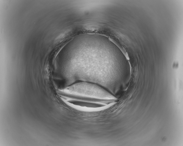 X0000093561394200711121003