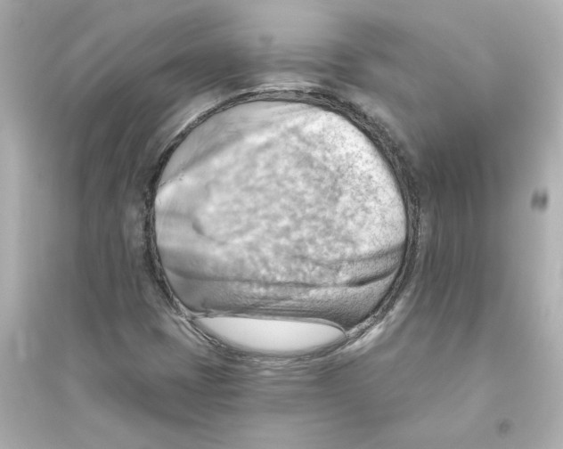 X0000093561401200711121003