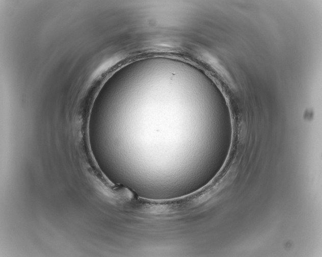X0000093561402200711121003