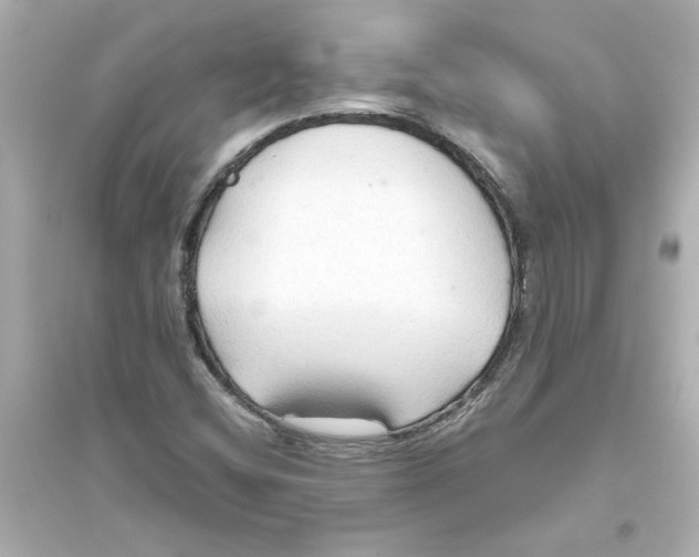 X0000093561404200711121003