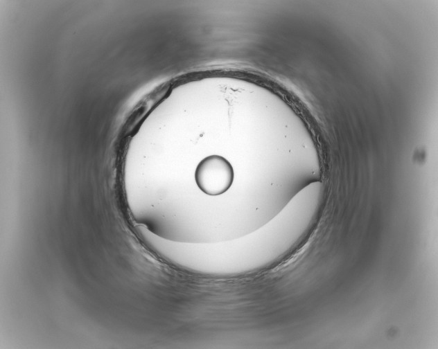 X0000093561406200711121003