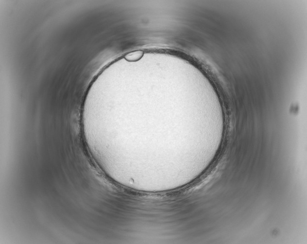 X0000093561409200711121004