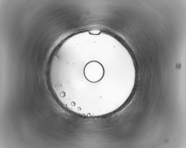 X0000093561410200711121004