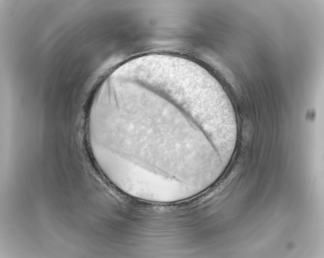X0000093561411200711121004