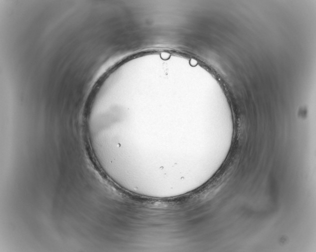 X0000093561412200711121004