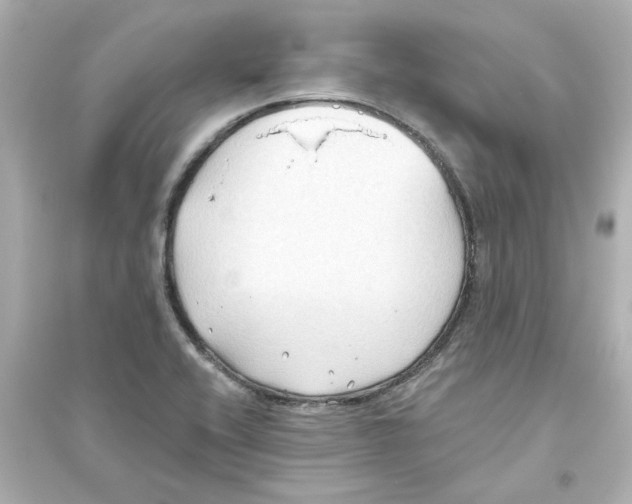 X0000093561416200711121004