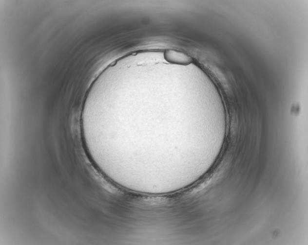 X0000093561417200711121004