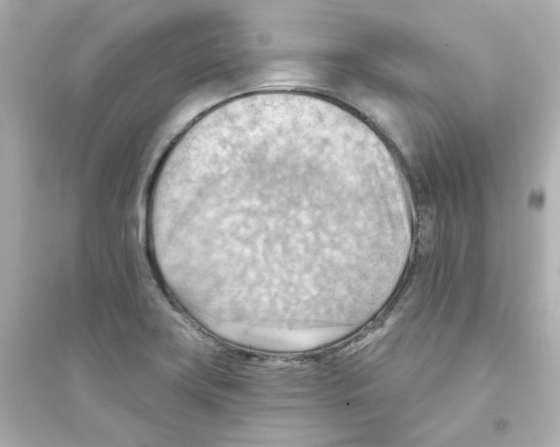 X0000093561419200711121004