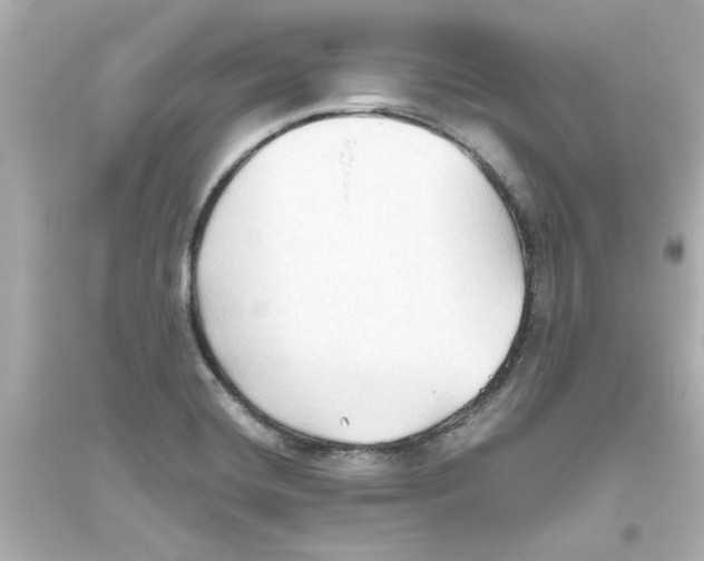 X0000093561420200711121004