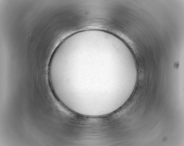 X0000093561423200711121004