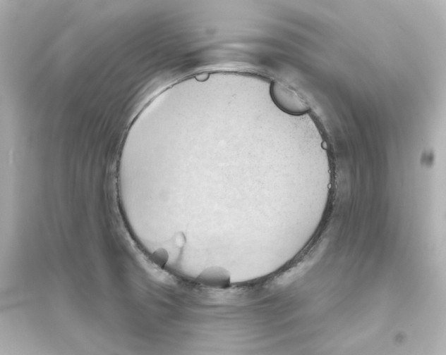 X0000093561425200711121004