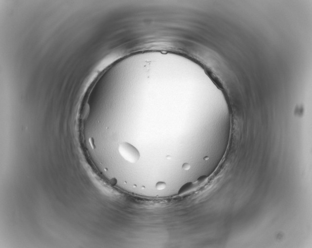 X0000093561426200711121004