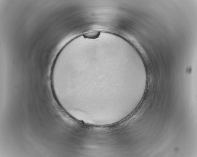 X0000093561427200711121004