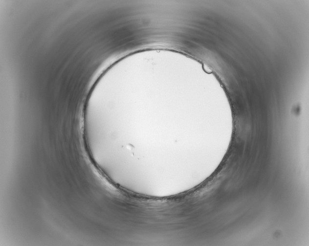 X0000093561428200711121004