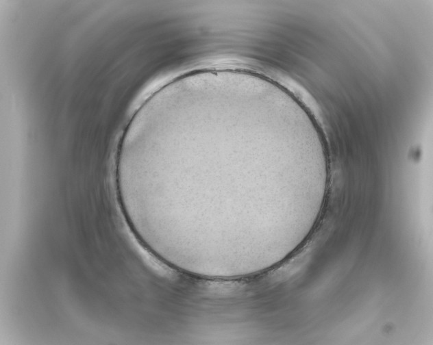 X0000093561429200711121004