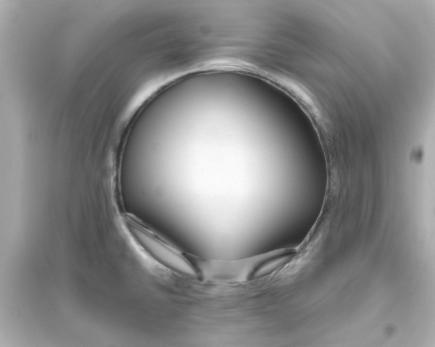 X0000093561430200711121004
