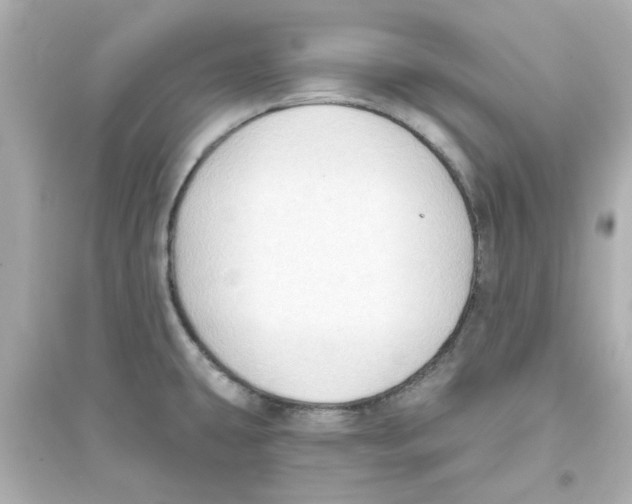 X0000093561431200711121004