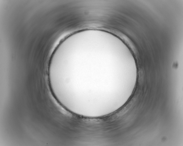 X0000093561432200711121004