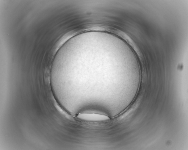 X0000093561433200711121004