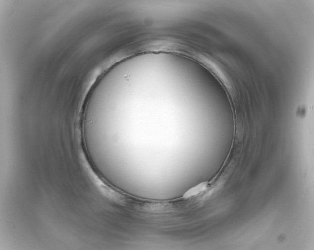 X0000093561434200711121004