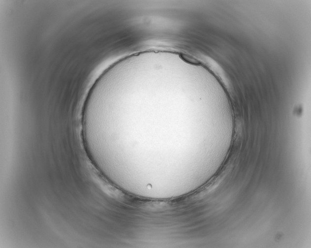 X0000093561435200711121004