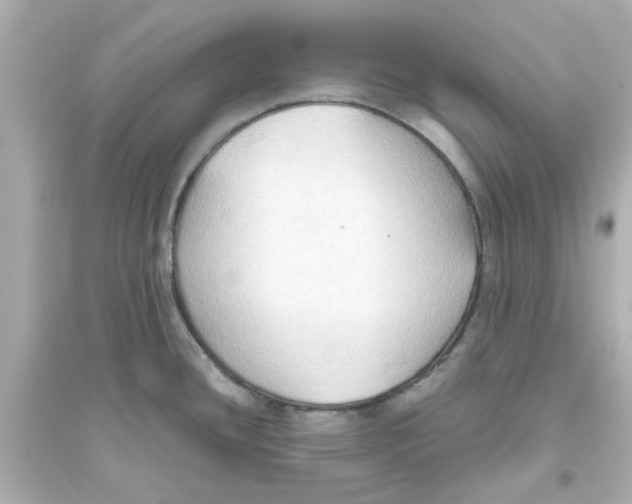 X0000093561436200711121004