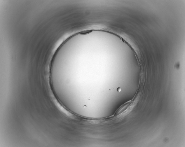 X0000093561438200711121004