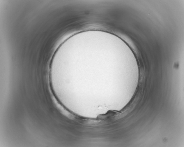 X0000093561439200711121004