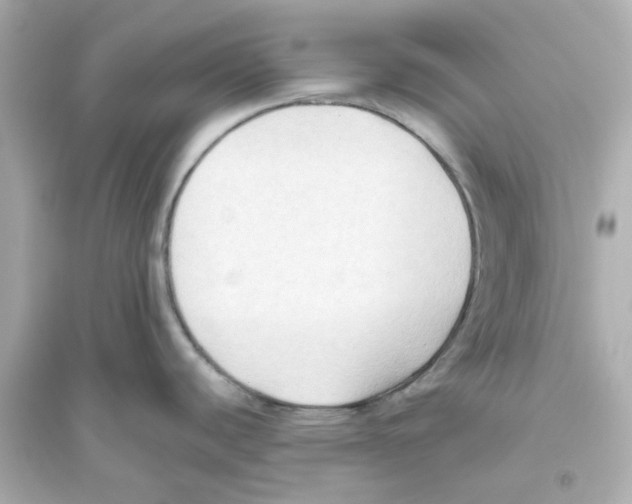 X0000093561440200711121004