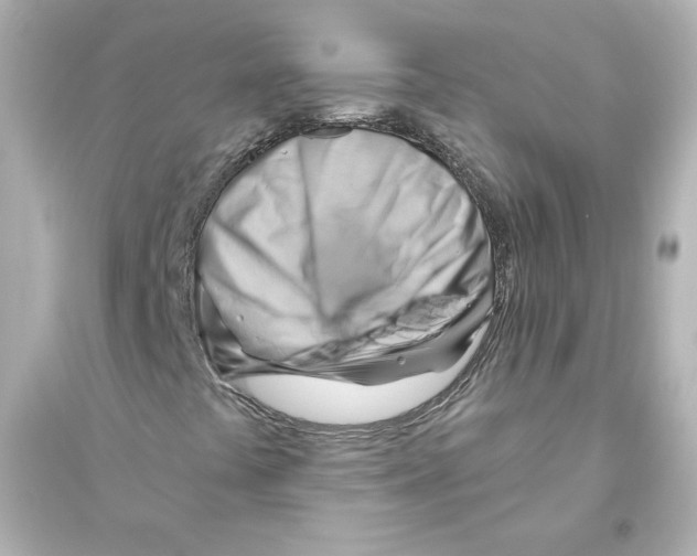 X0000093561441200711121003