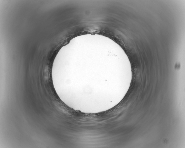 X0000093561442200711121003