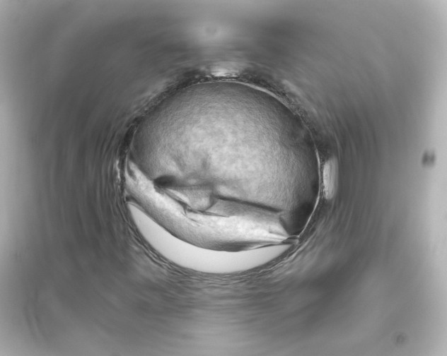 X0000093561443200711121003