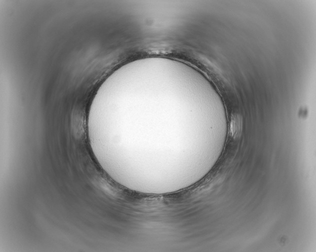 X0000093561444200711121003