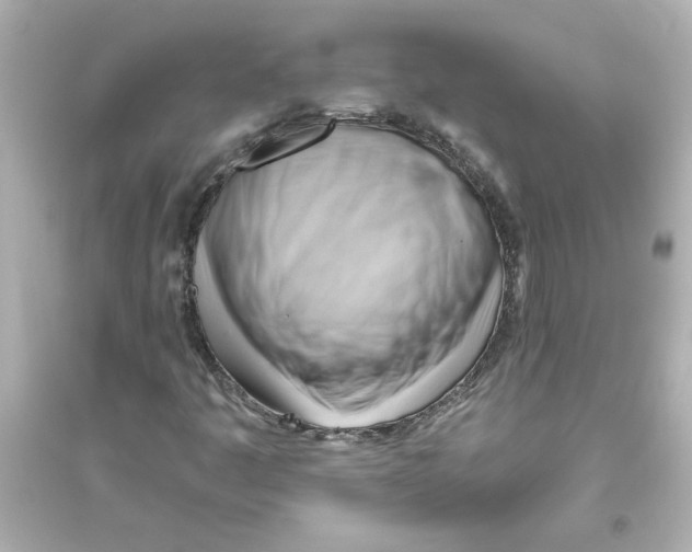 X0000093561445200711121003