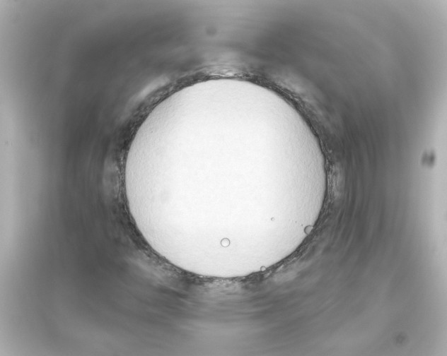 X0000093561446200711121003