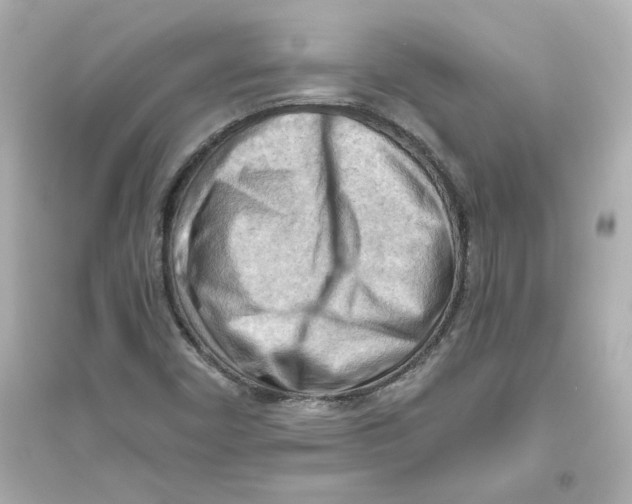 X0000093561450200711121003