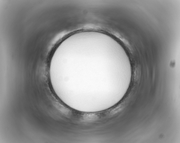 X0000093561454200711121003