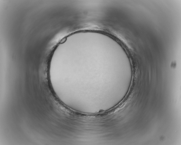 X0000093561455200711121003