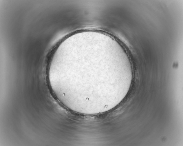 X0000093561456200711121003