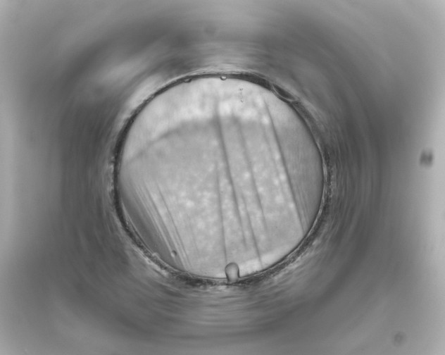 X0000093561459200711121003