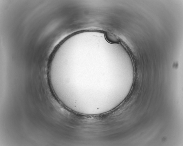 X0000093561460200711121003