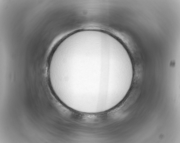 X0000093561462200711121003