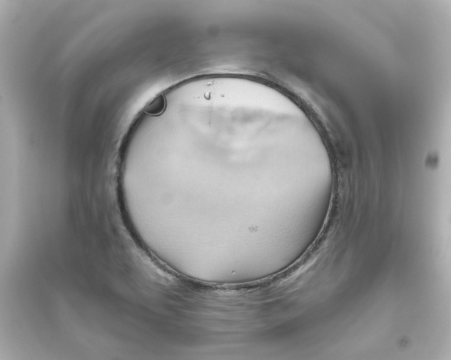 X0000093561463200711121003