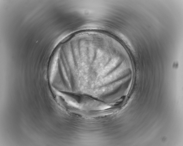 X0000093561465200711121003