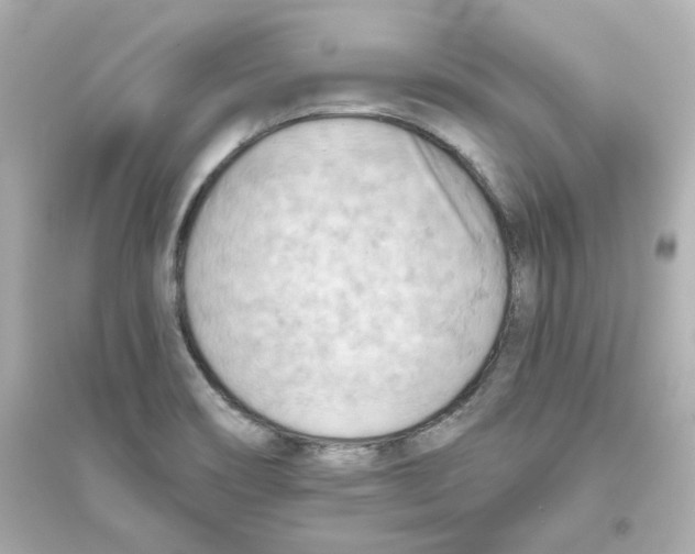 X0000093561466200711121003
