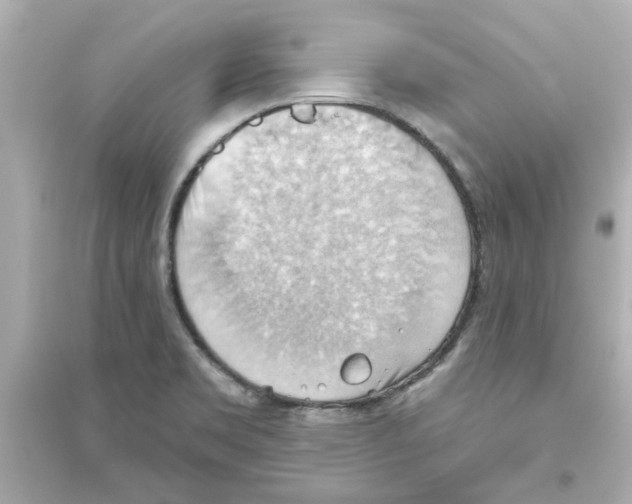 X0000093561469200711121003